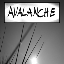 Cover 222 P